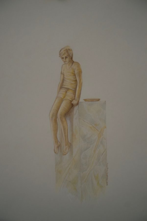 stefania meneghella la linea gialla