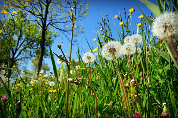 Il soffio delle stagioni