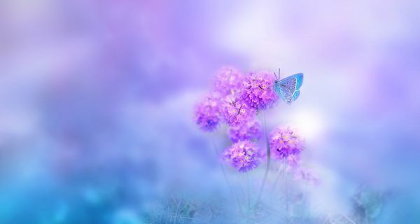 Il soffio delle stagioni