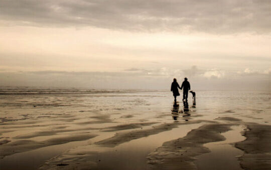 doggerland élisabeth filhol