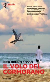 Il volo del cormorano